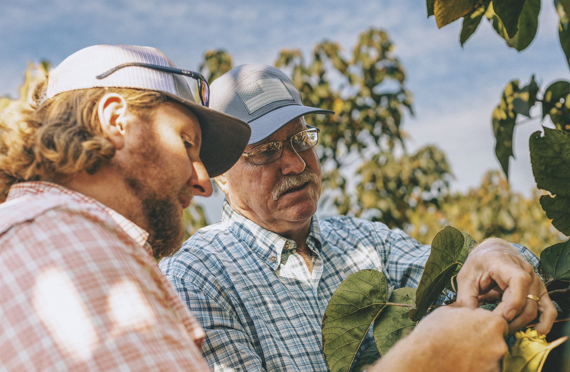 Checking a branch together, two generations of the same crew.