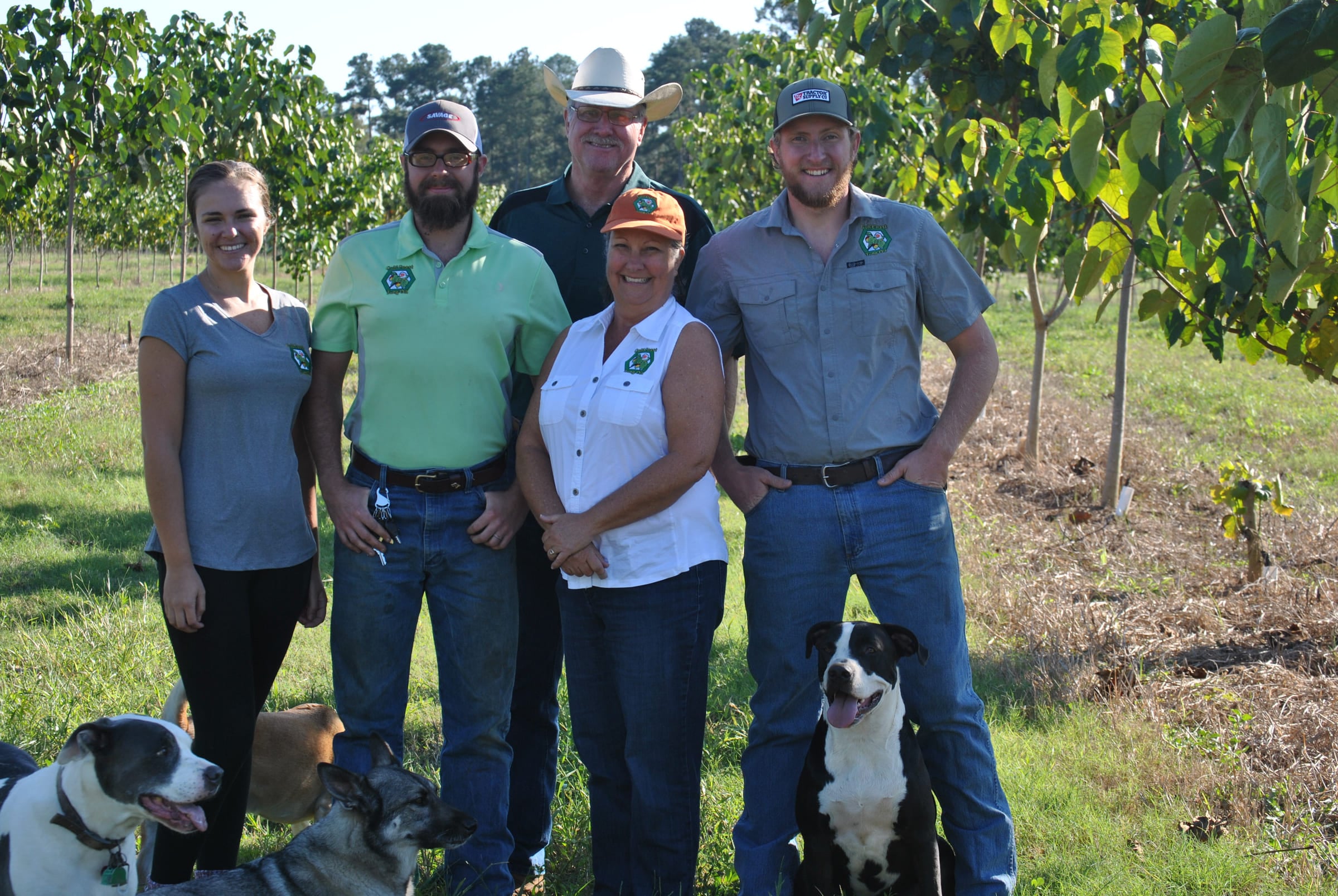 The crew and the orchard dogs, between the rows.
